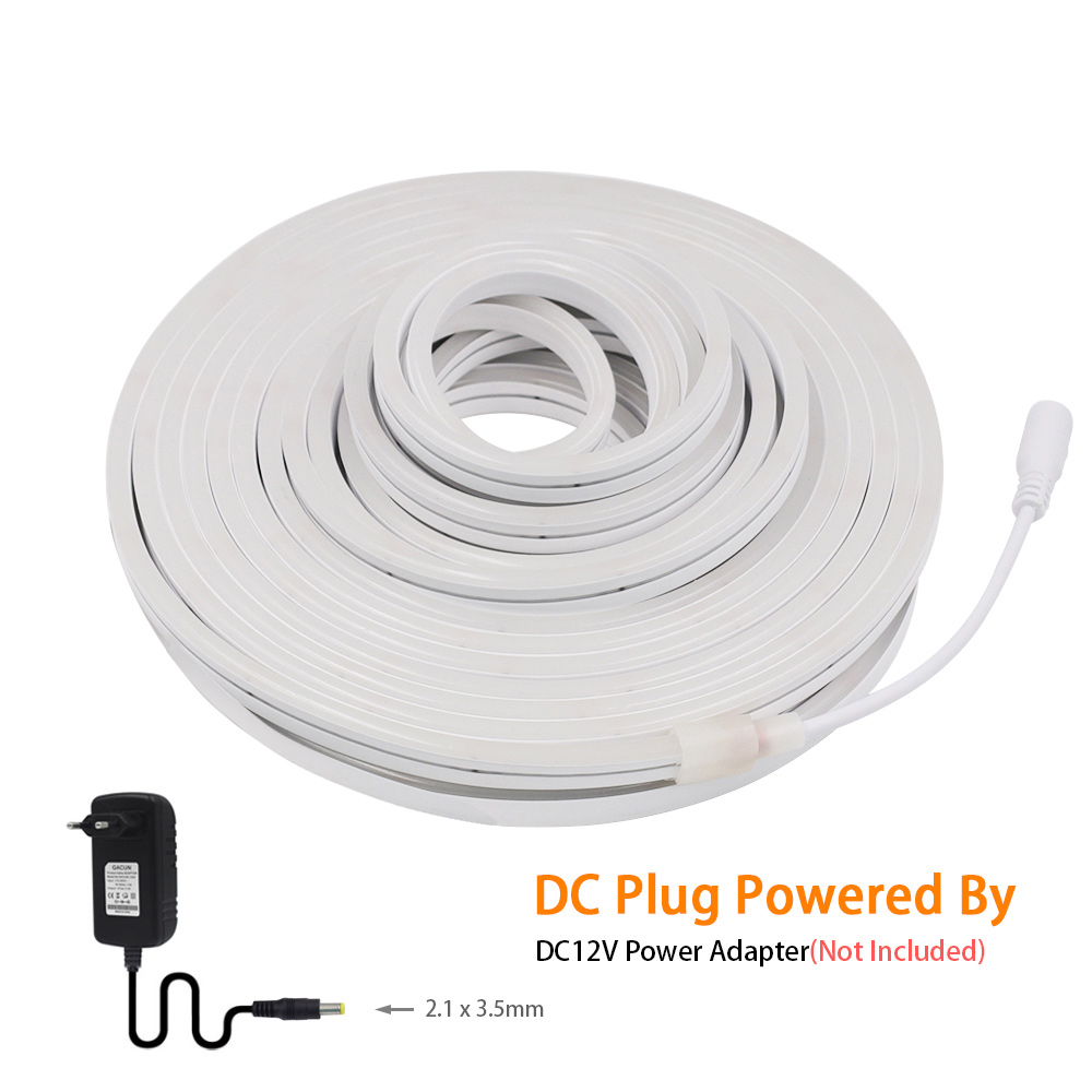 DC 12V lampu Strip Neon LED, l - Decor Lighting Hours ulasan dan harga