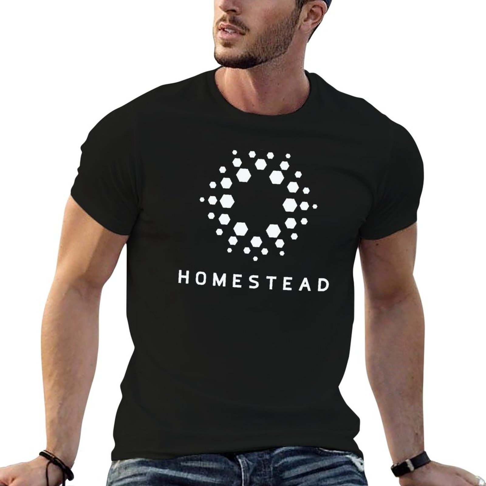Homestead - Passengers - Kaos  - Homestead Lighting & Decor Oconomowoc ulasan dan harga
